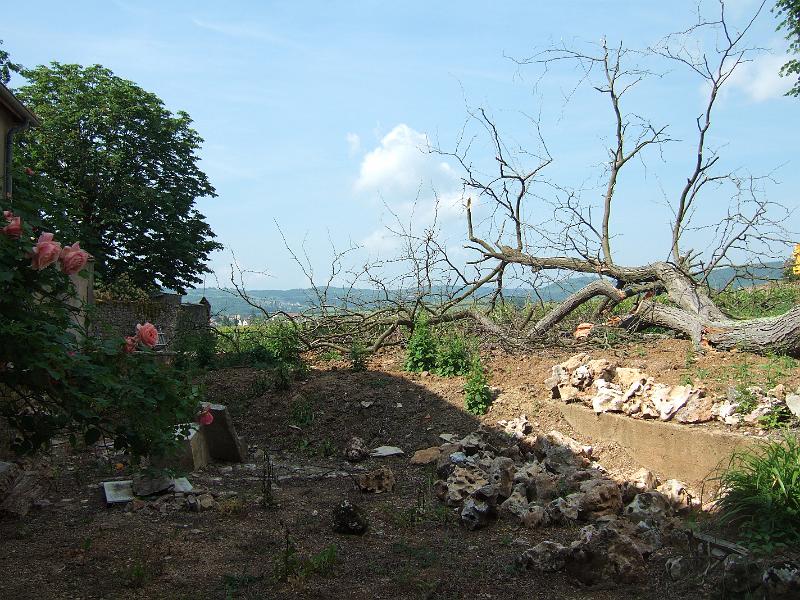 2010-05- (34).JPG - Etwas chaotisch und bizarre - hat etwas von einem ehemaligen Friedhof